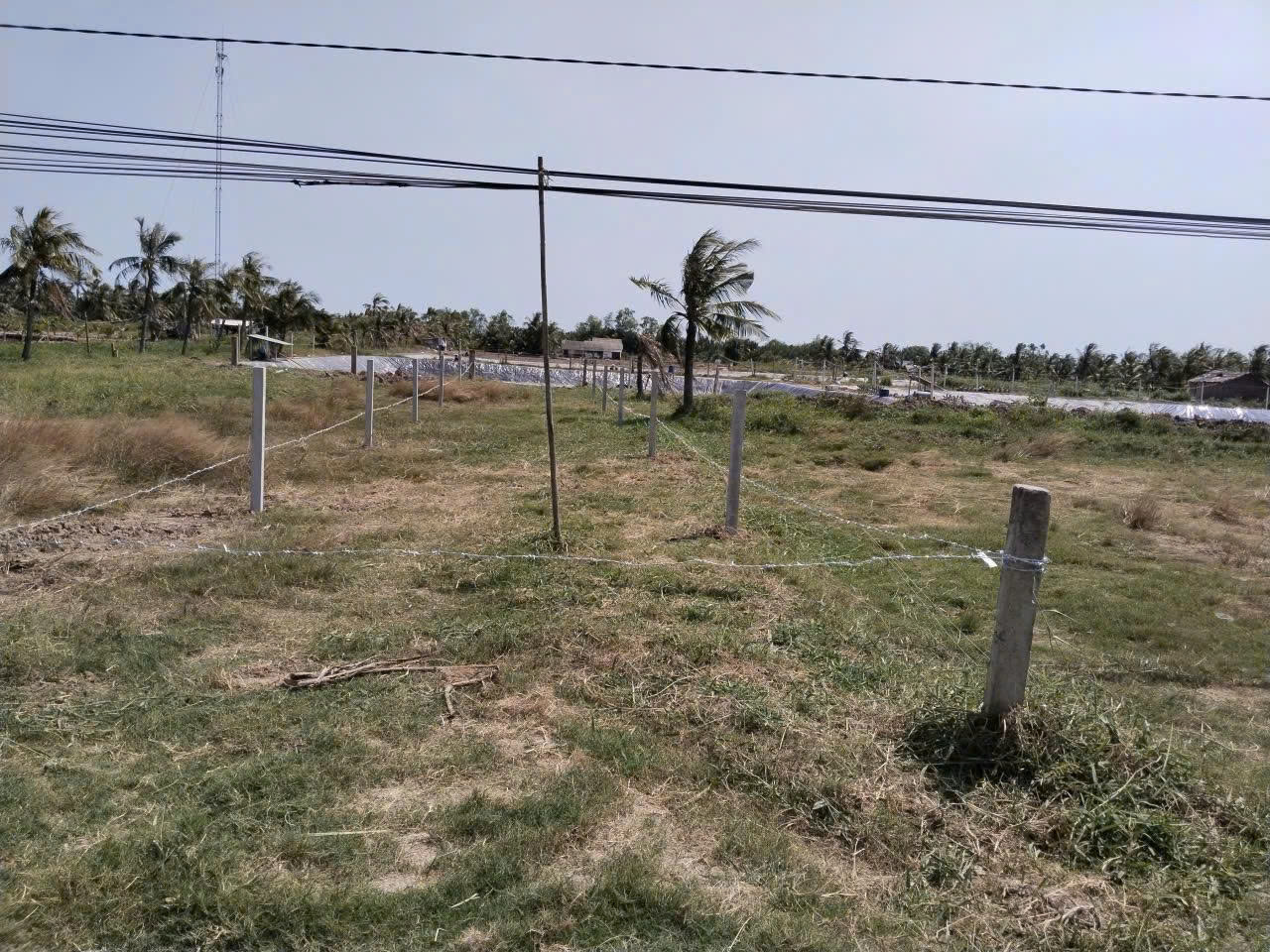 z7101939403871_44eaa782384205b712f8e223a00eb262