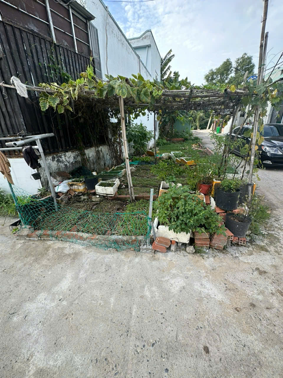 z7102120675657_10c8859f584d9ff30a6b0b6259a244d5