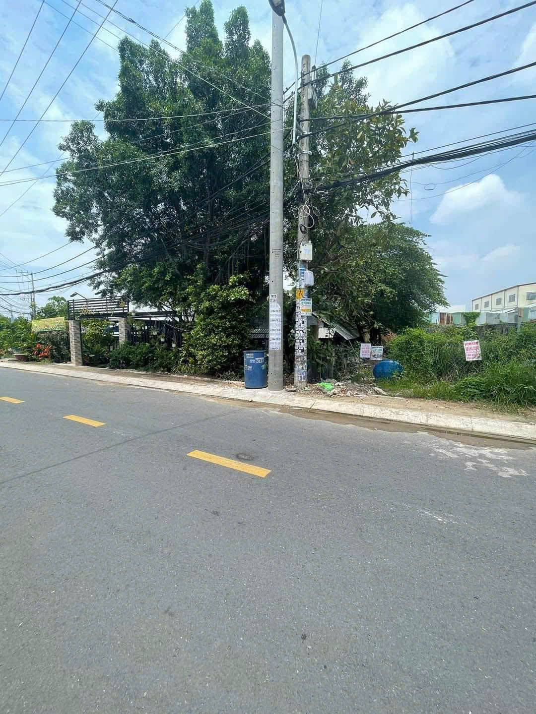 z7103454401069_b0611f8204511eeb4985f39835984772