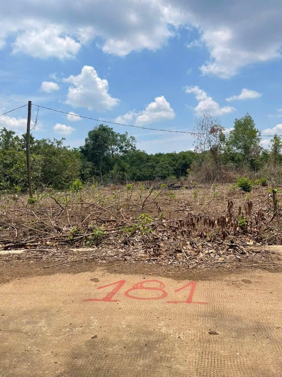 z7104045932153_91661e815a3ee1f96f08d56f1b1f8df3