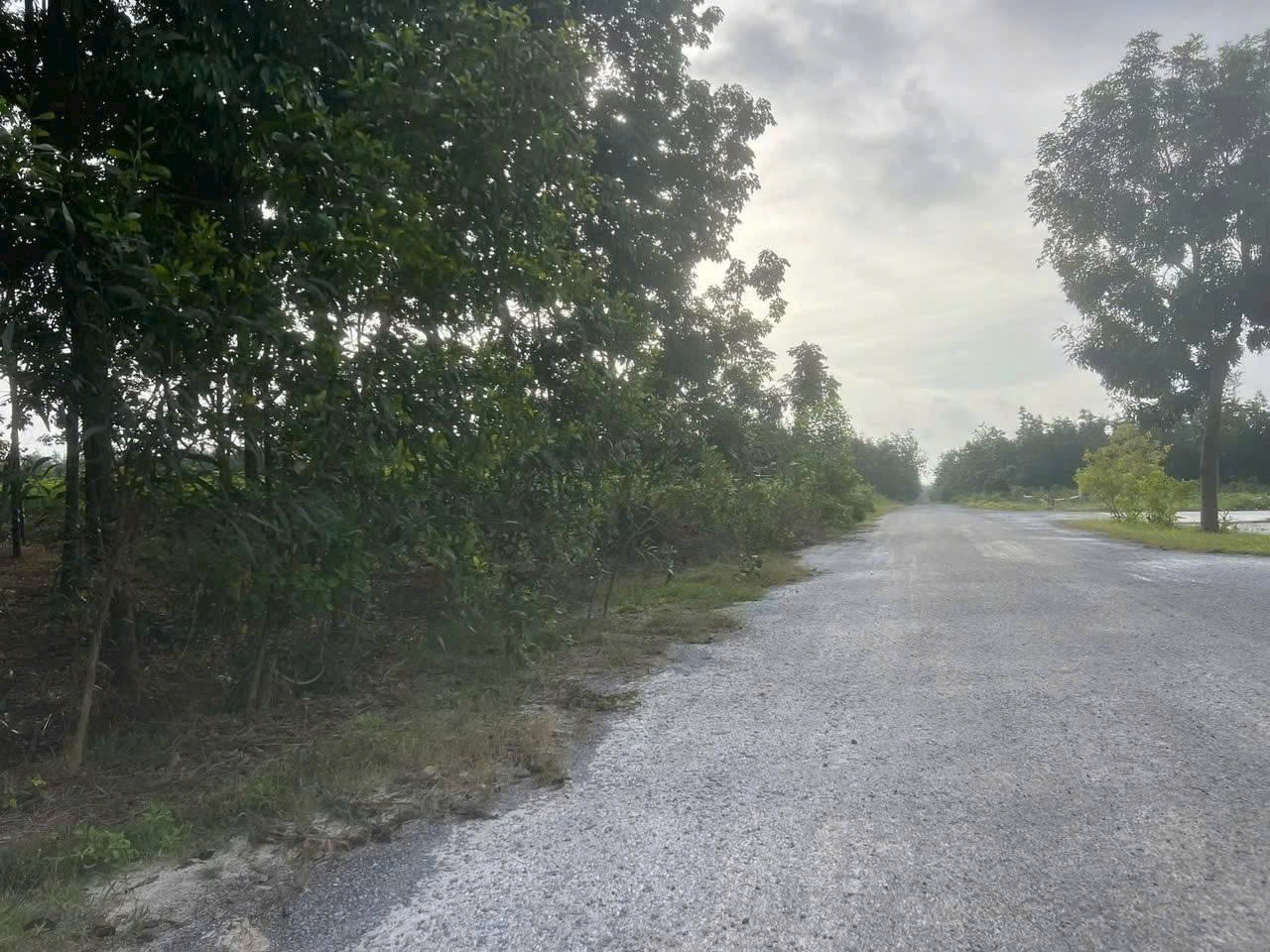 z7104048739403_5526d7149c54acb26369d347c2578c61