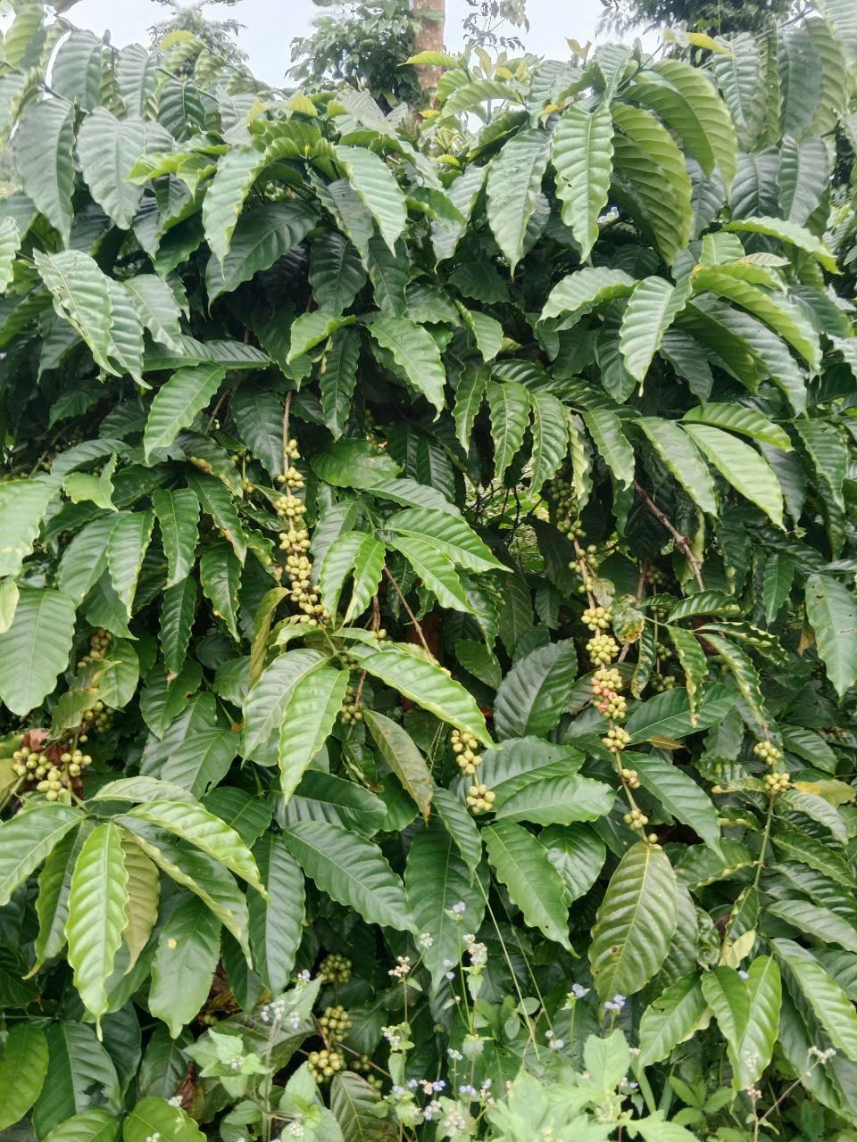 z7107739693590_eacc4cc77536832a3c2f0e86e1a57eb2