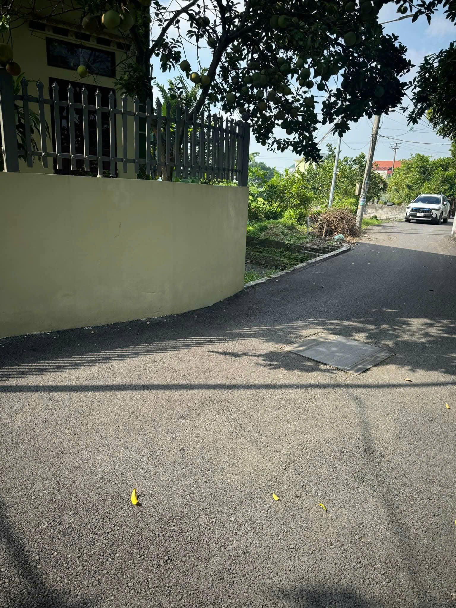 z7107817979109_a48236b571755a4f3c2aae5eba56b4cc