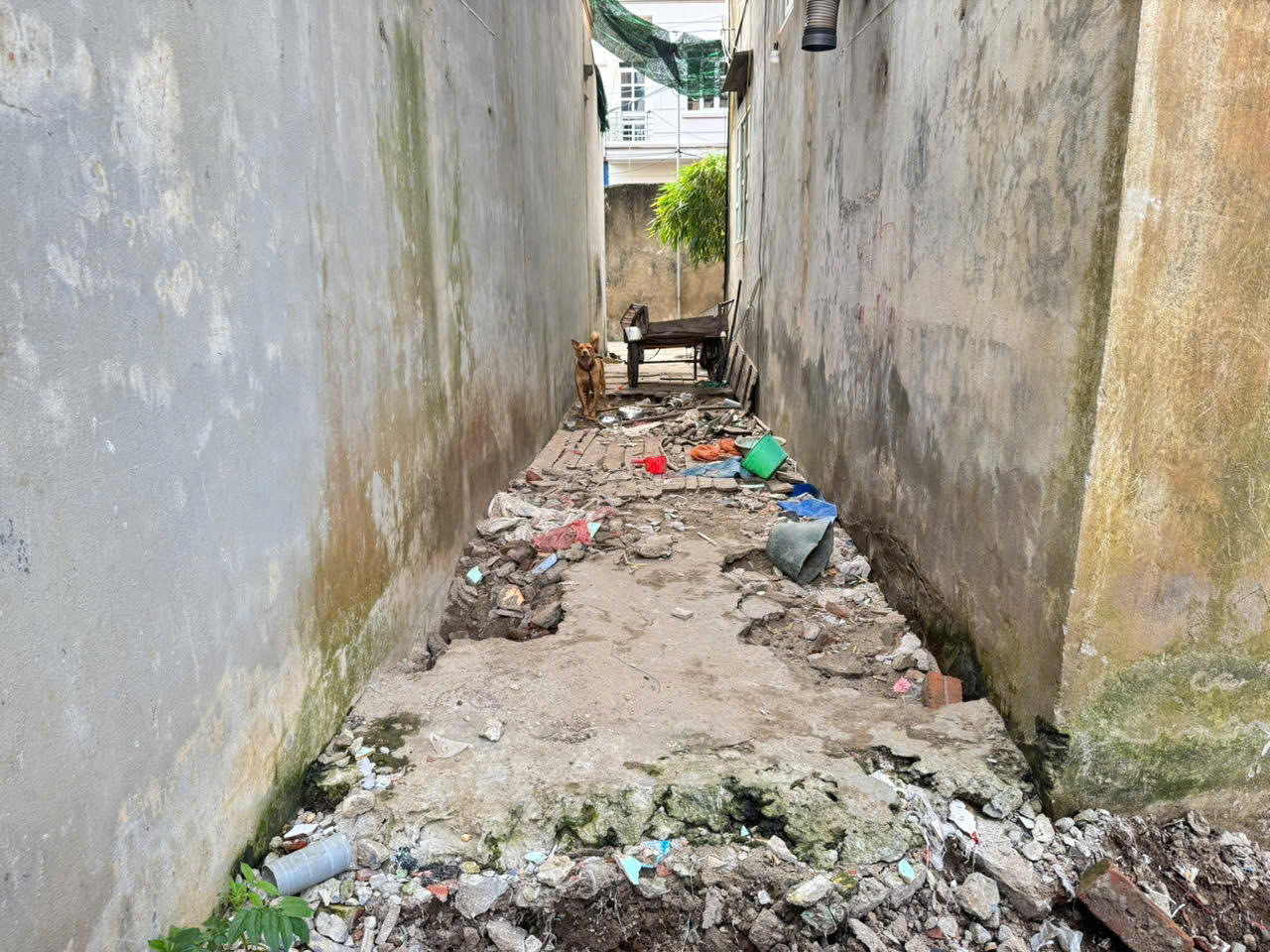 z7108819886831_2e4148621efddba6fad890e0690a3f33