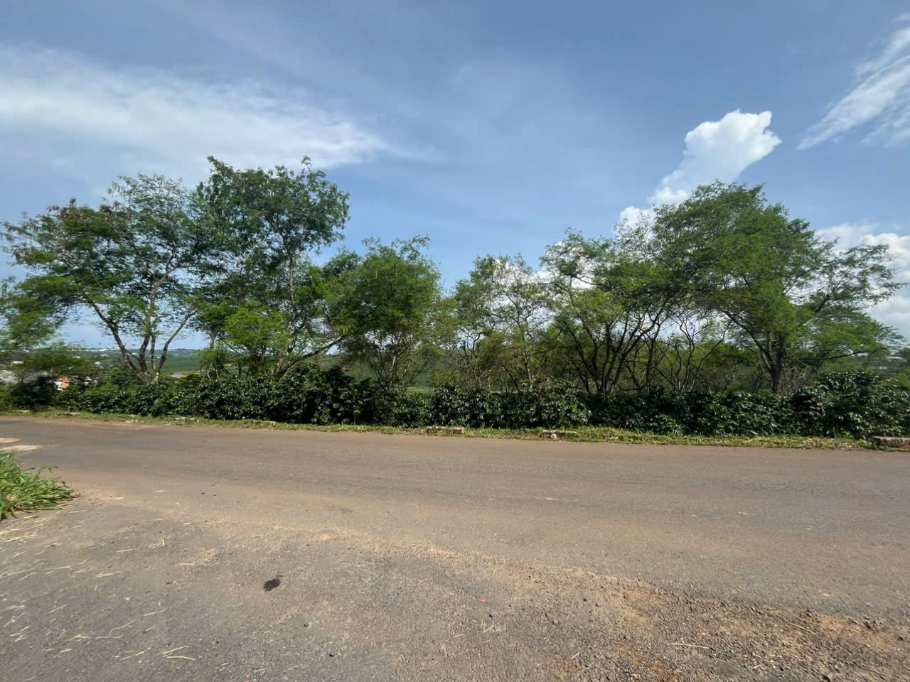 z7110309091641_518b4630c0f68c8c9a8b0faad26a02ea