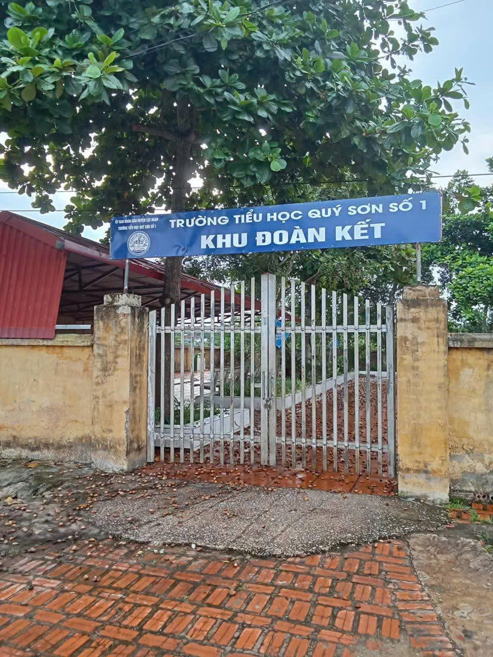 z7110500880077_adf3d1f9e73ed5e11249847a9cdf397a