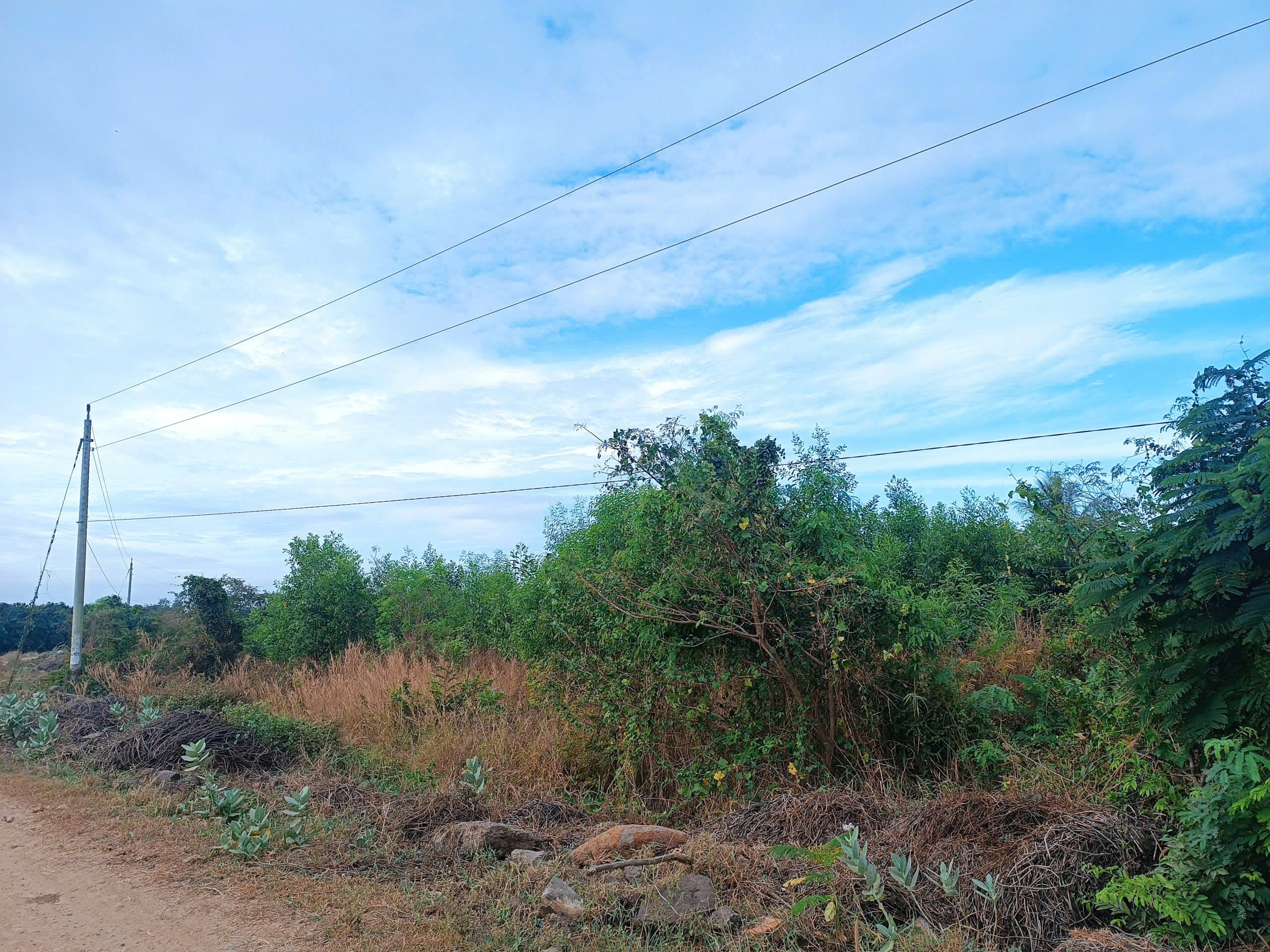 z7111059182620_6294ebcb67199a532d97d071134b7307