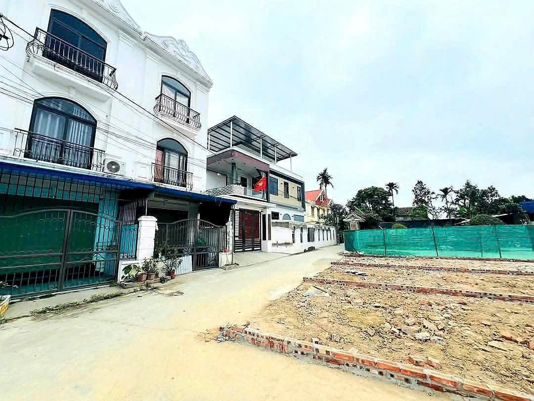 z7111576321152_16fd939bb23a35e5d01fdd5e54695940