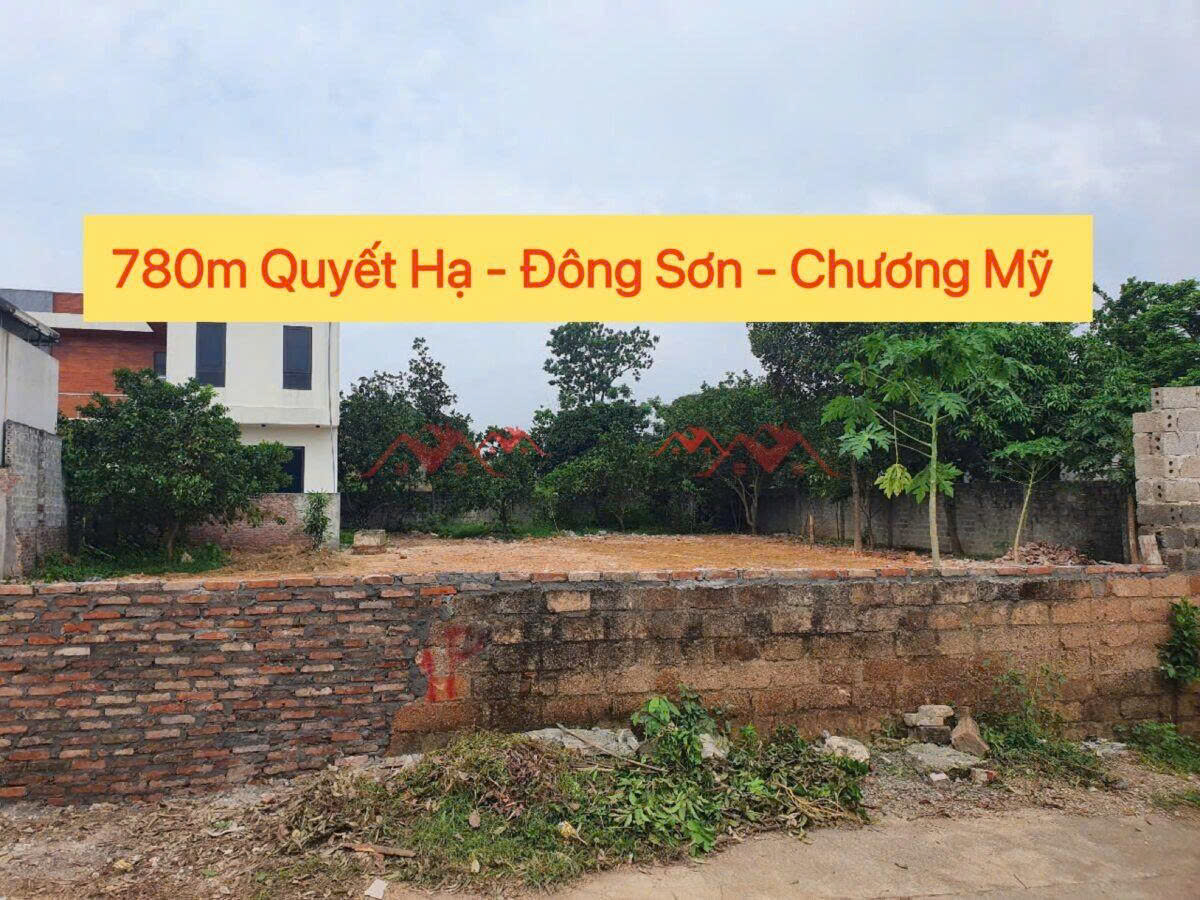 z7112913196481_a9d7c170c9de7f78658e6ae76f5efb71