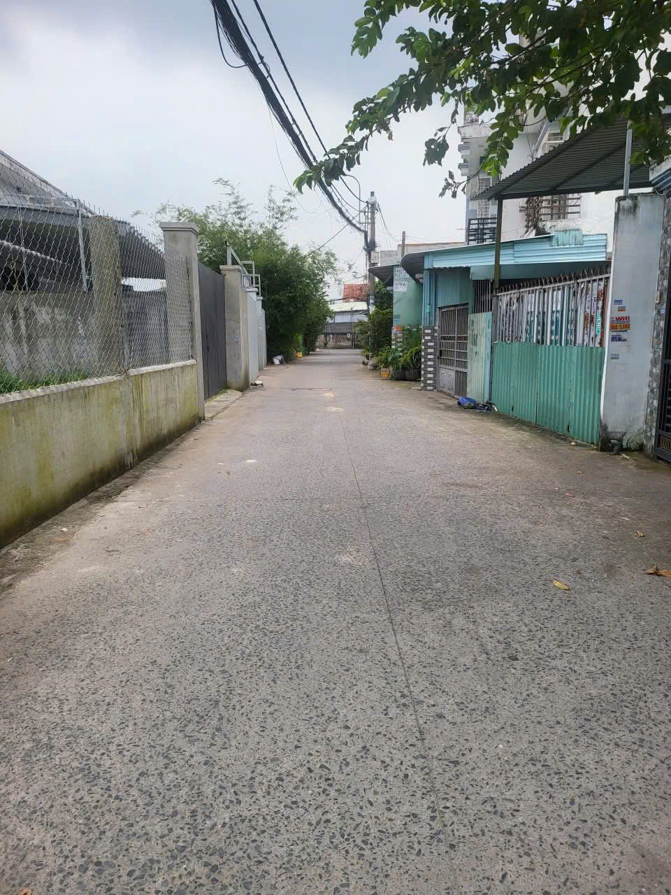 z7113683574653_cacd11f902f87009566e30c8b21332da