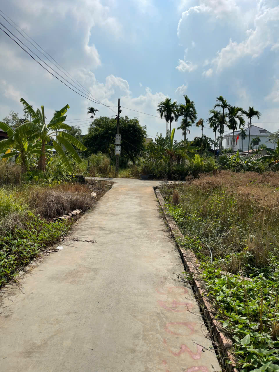 z7114313416085_dda1d7fa0f637b7e33d602c57dcb76d6