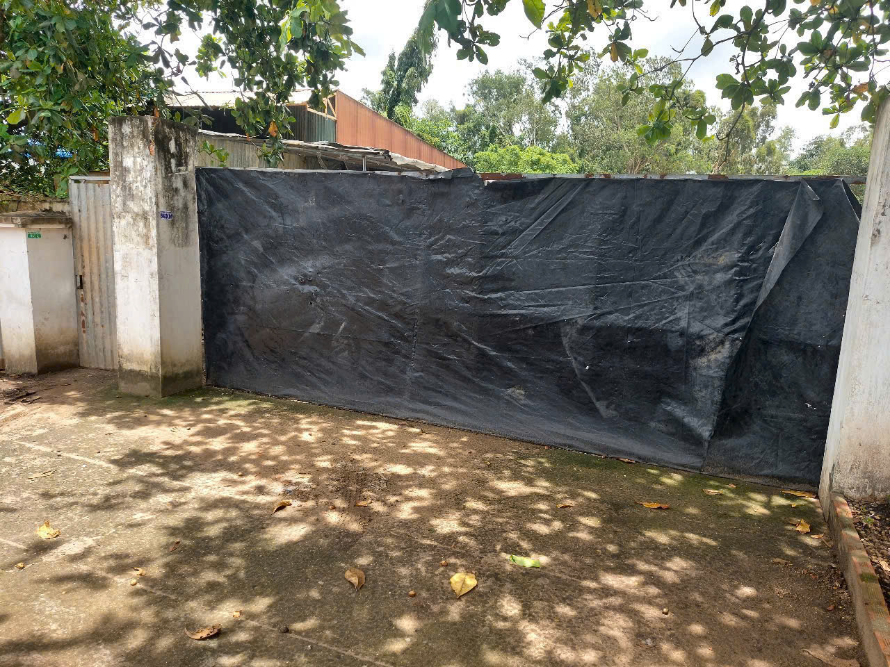 z7114828381541_f3262cb6e6227baa494217be7ead4aeb