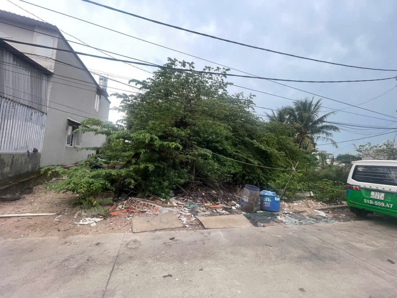 z7117839880013_142c01b81b0642e633d5abda0ff8e61c