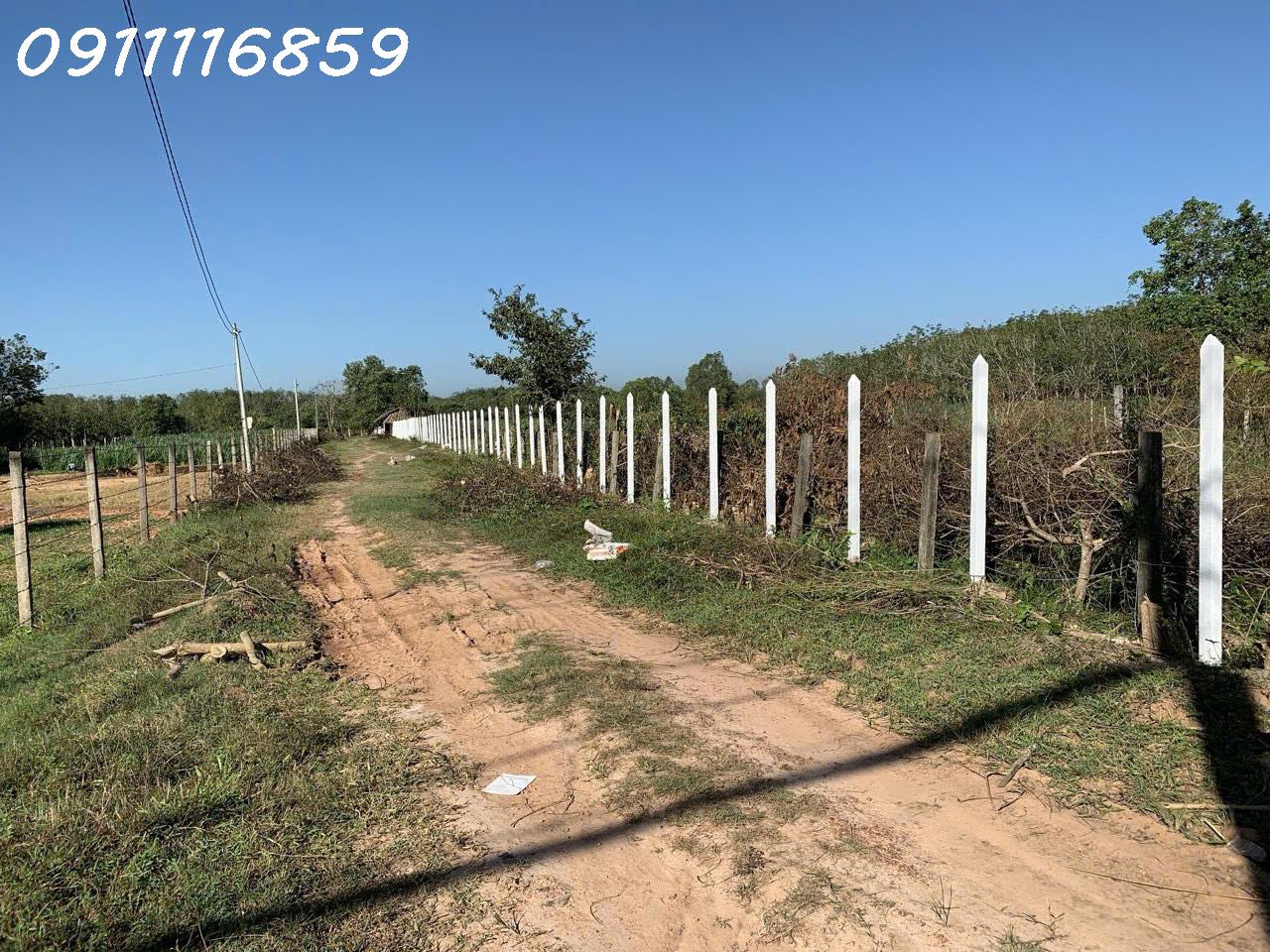 z7118110255634_c2b5e6a90c07982398c0829186e0473f