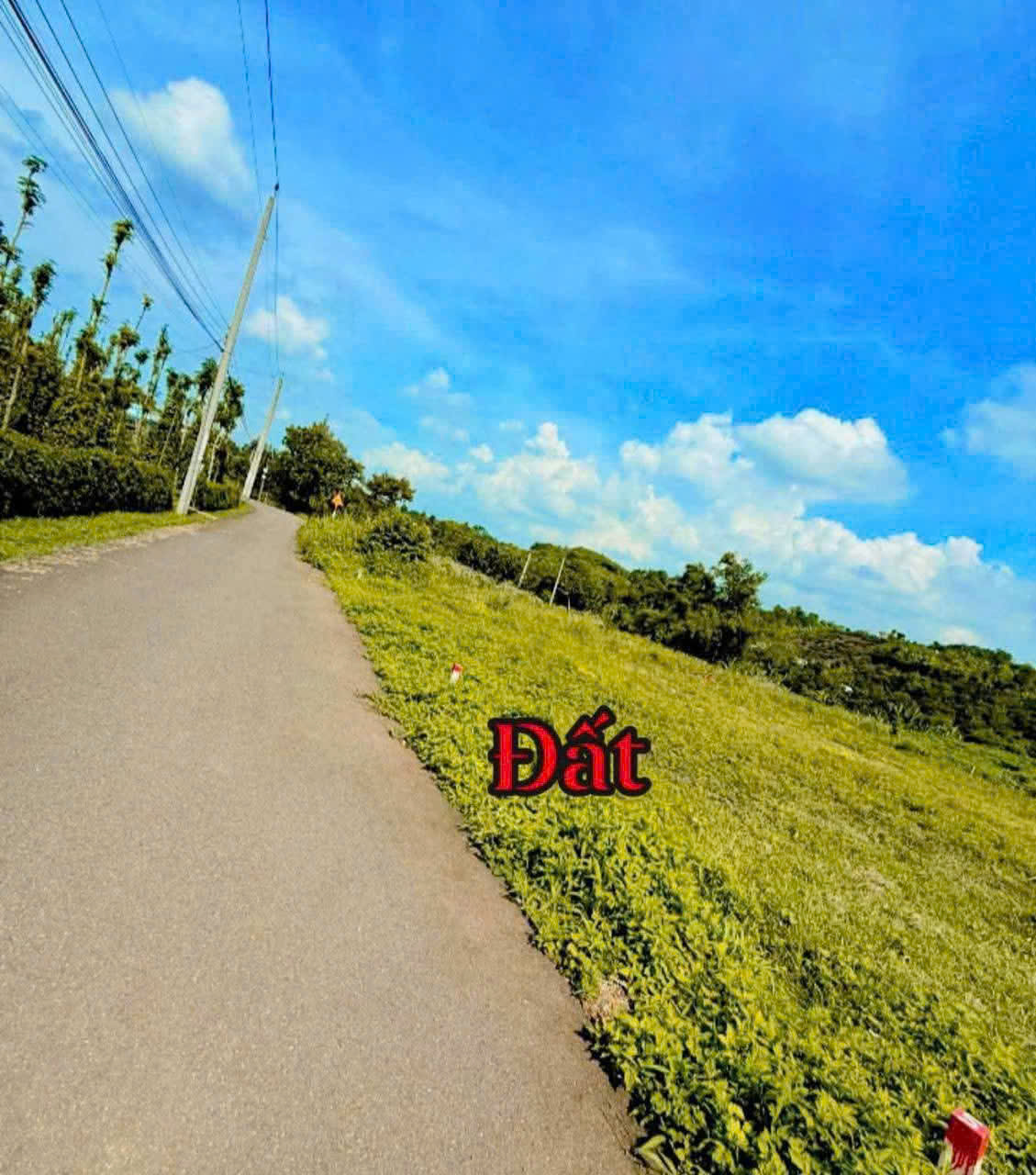 z7120401149882_4044ac0dd36a5665a5961e864a47e32e