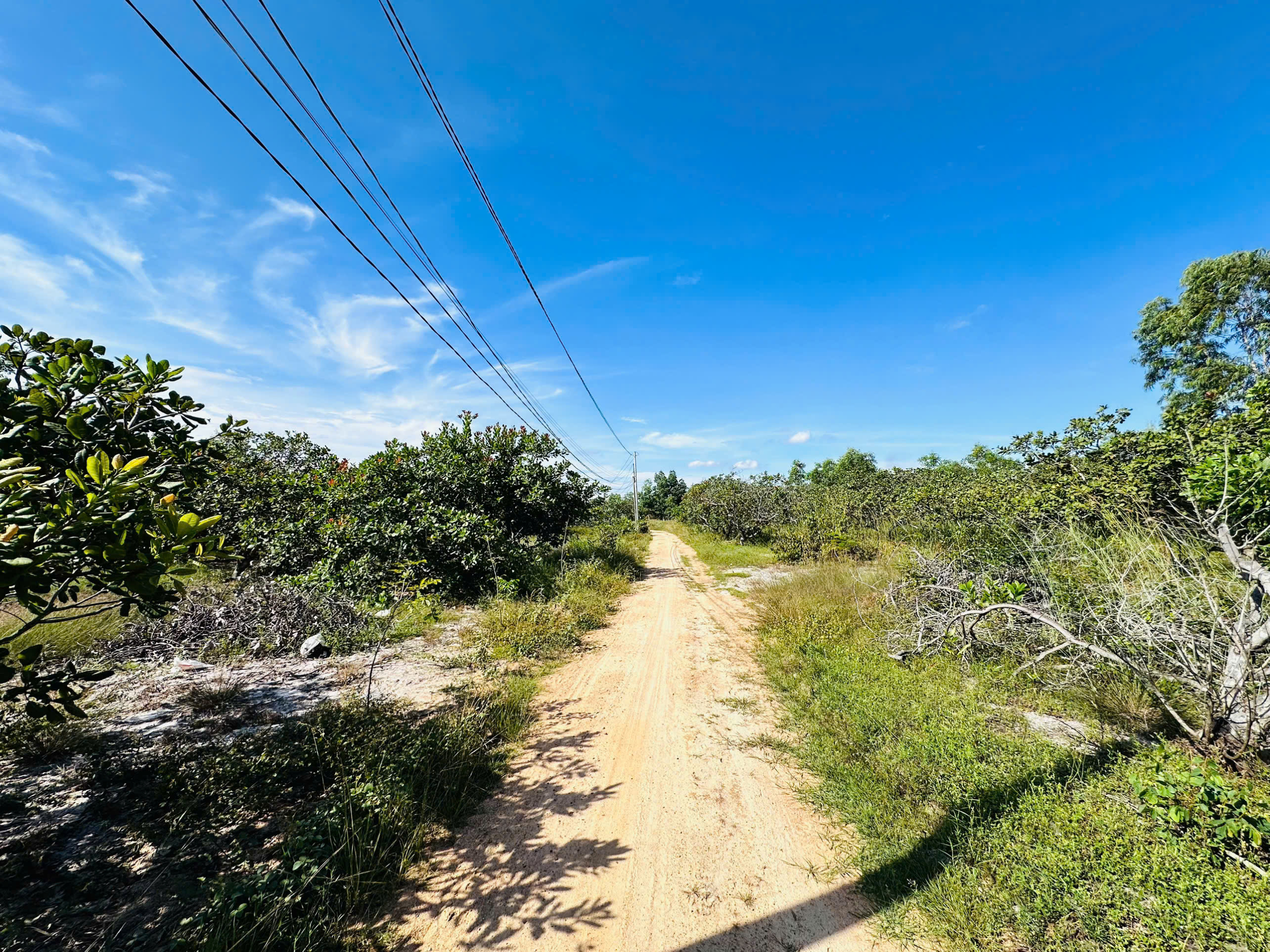 z7121457036672_59632f4455462e5b42b91173a53048a1