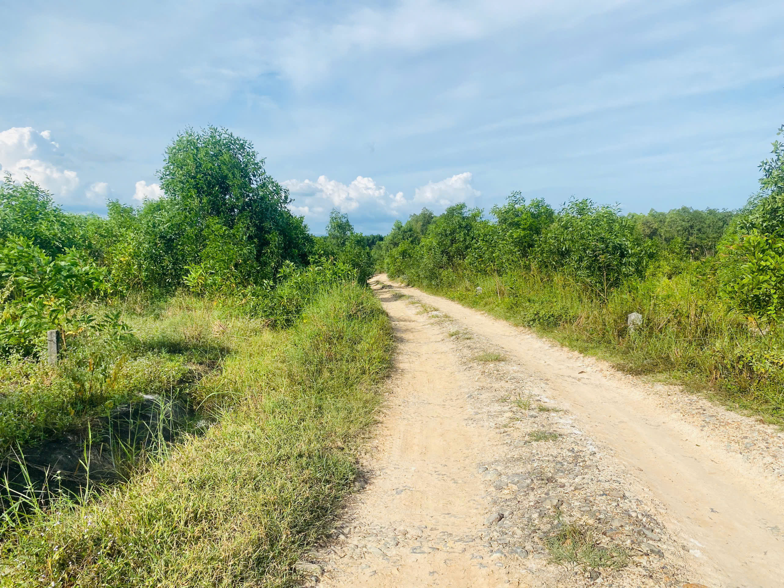 z7122983597147_91e4279a4bee23644ad3a78590cee802