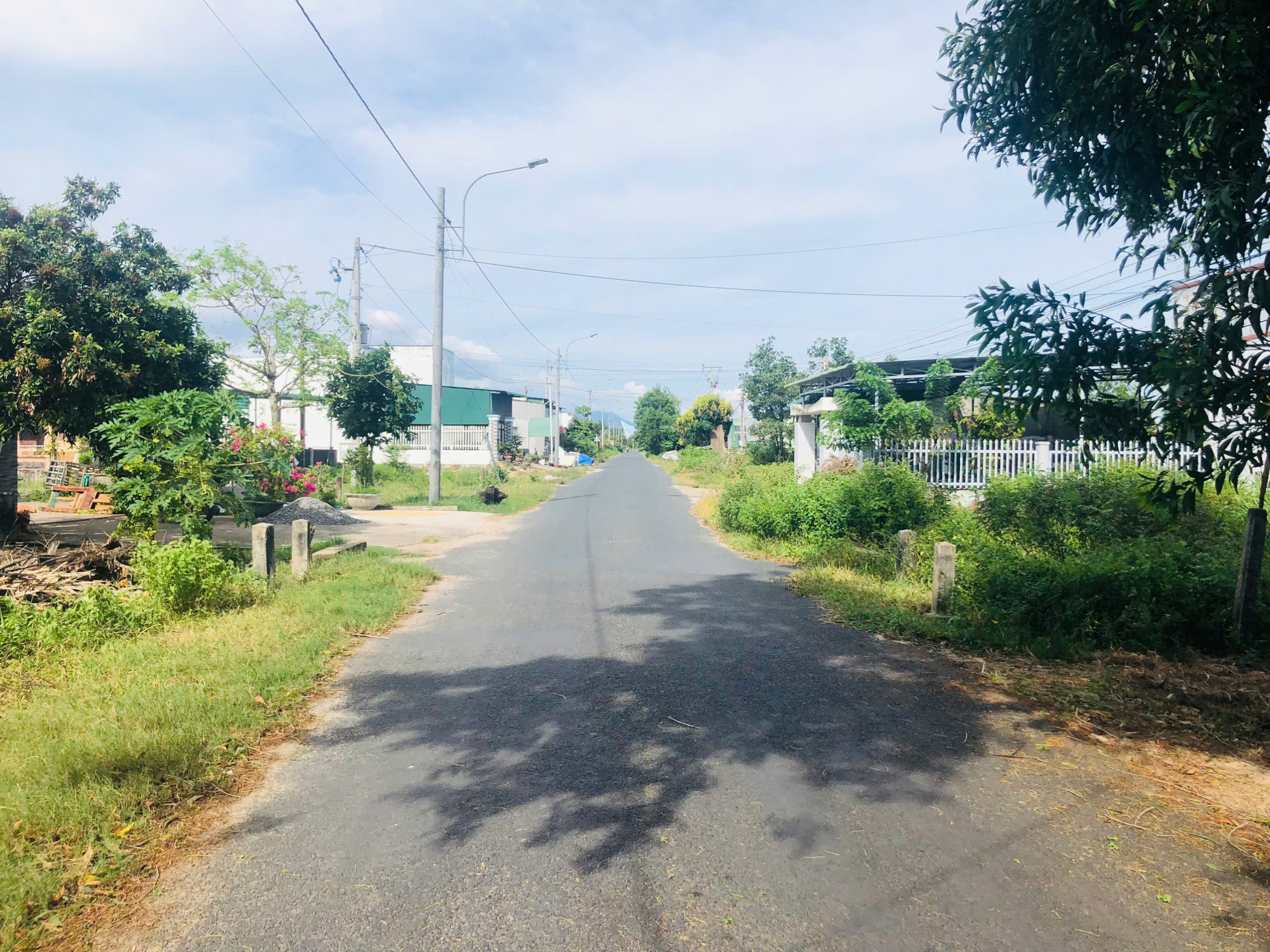 z7123174424539_a97fc6c41885beeef6149dd40a7c7dd9