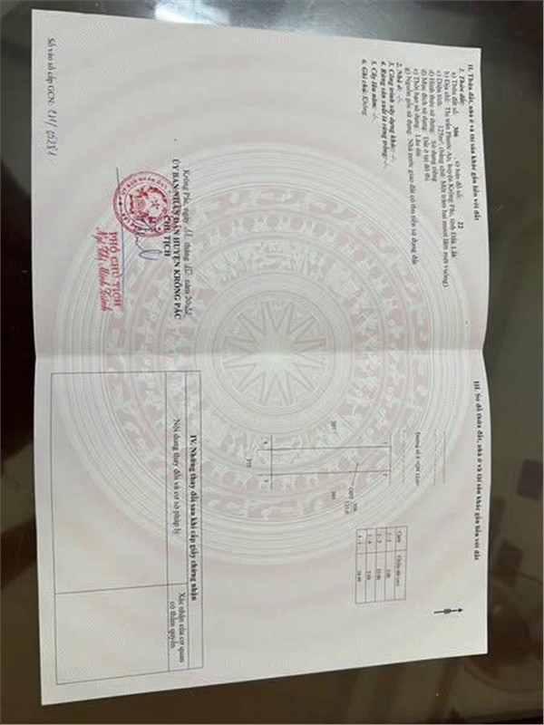 z7125369332951_10199839c5a26e3199803605cb43e040