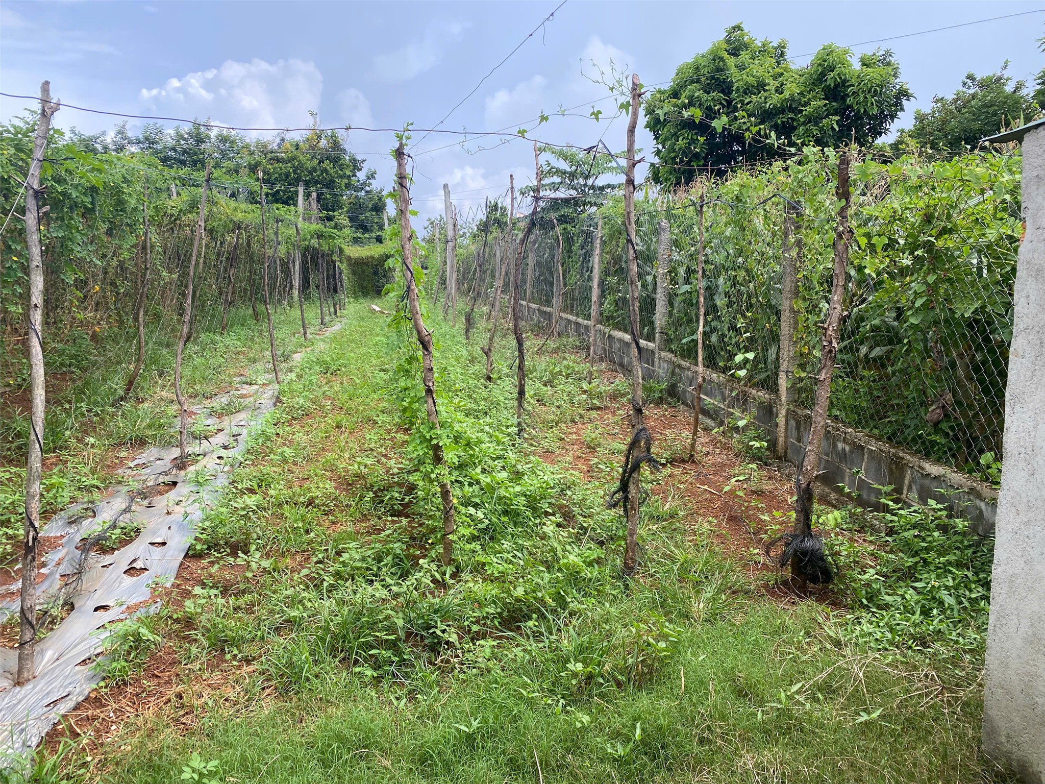 z7125634676647_7c39068fa0b7493da49998a1f32381c8