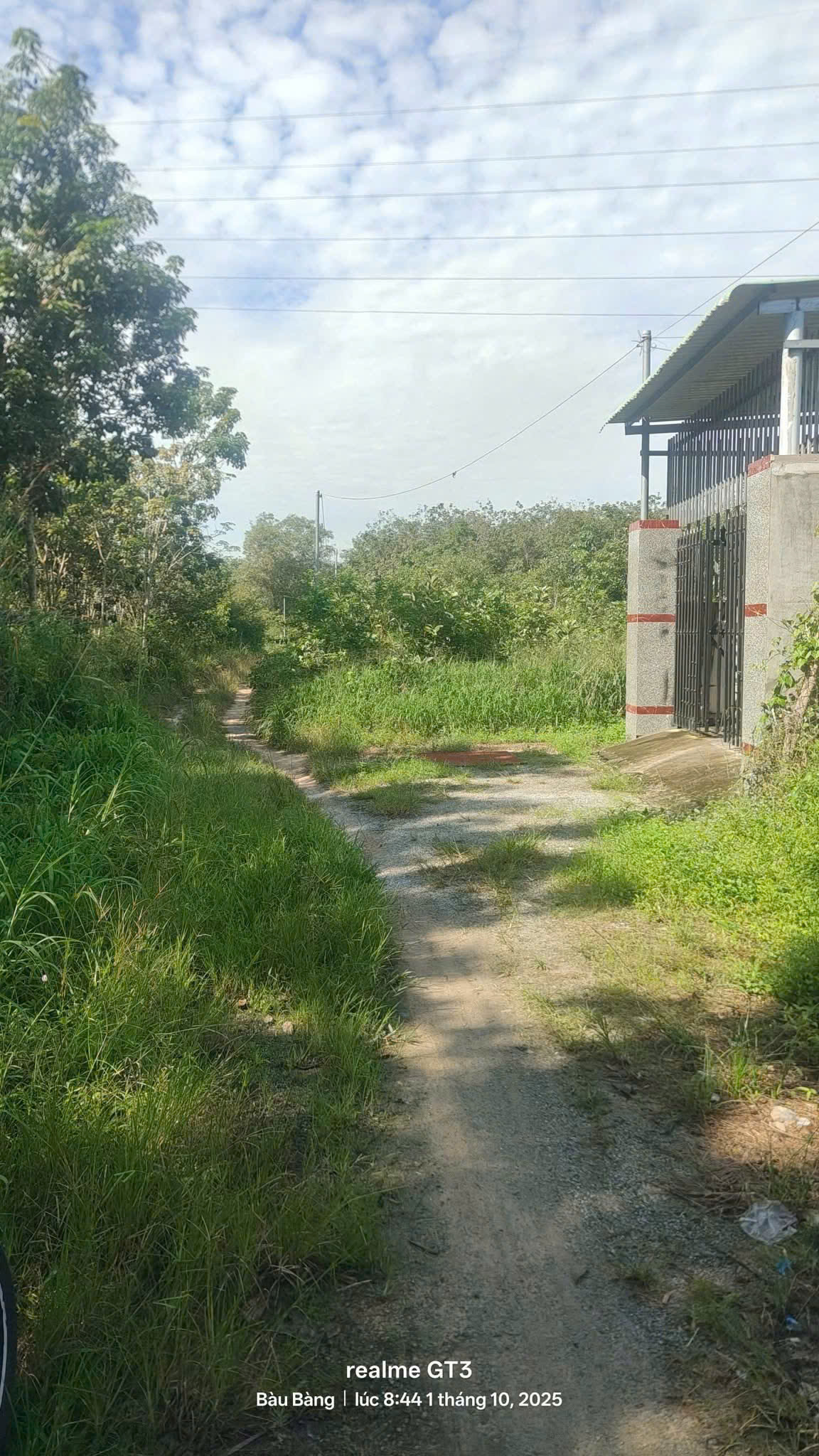 z7126103001193_81f5f4bae293add89d5fea897f6e8ced