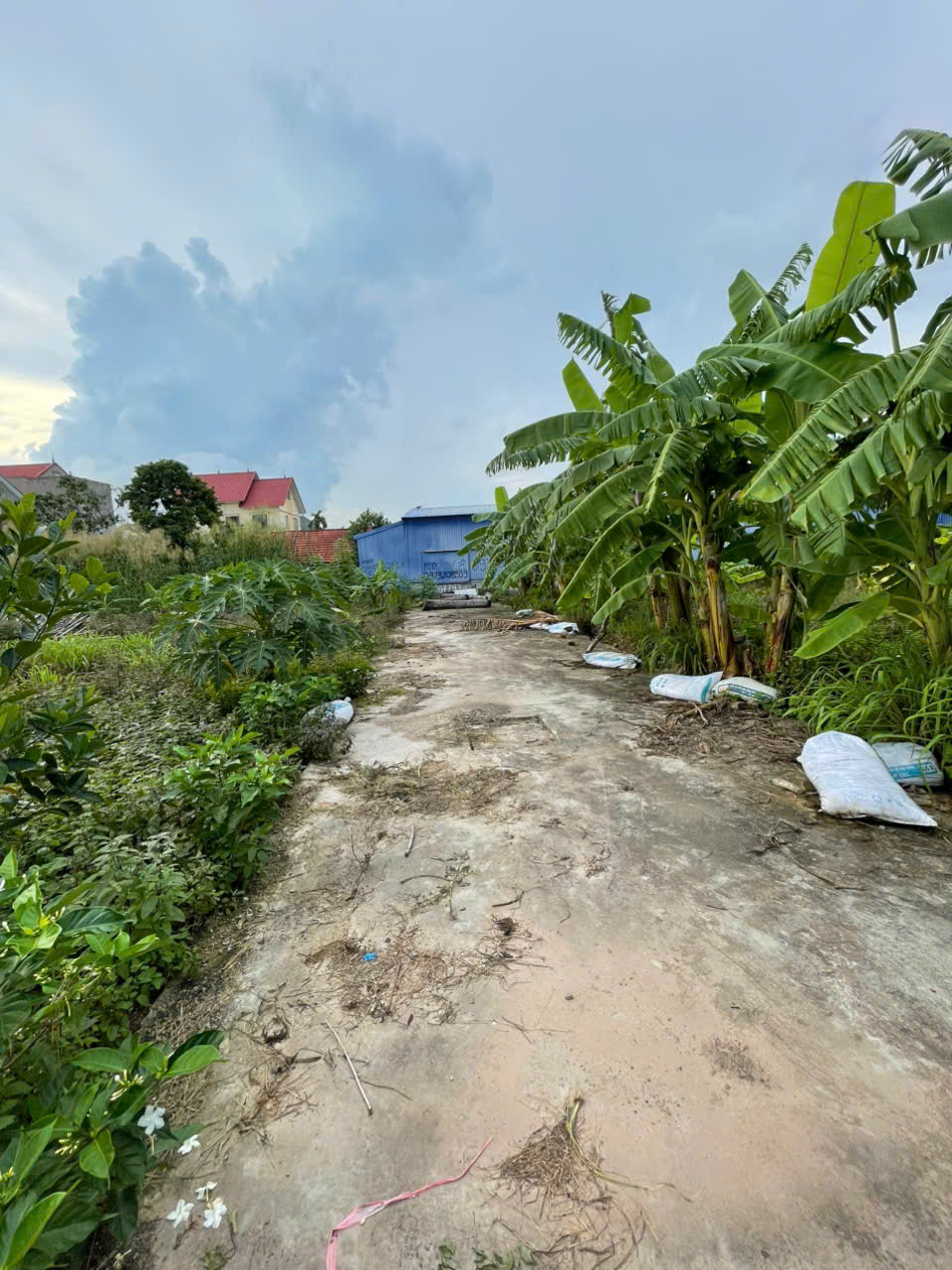 z7126287320348_b0527db85aa42b929d4b447690993110