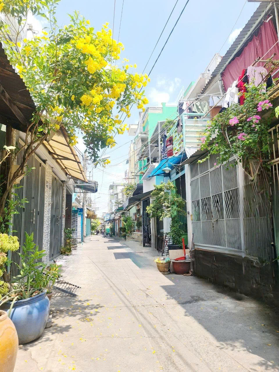 z7129488349587_a404466f03be41cb4388433dd730abc7