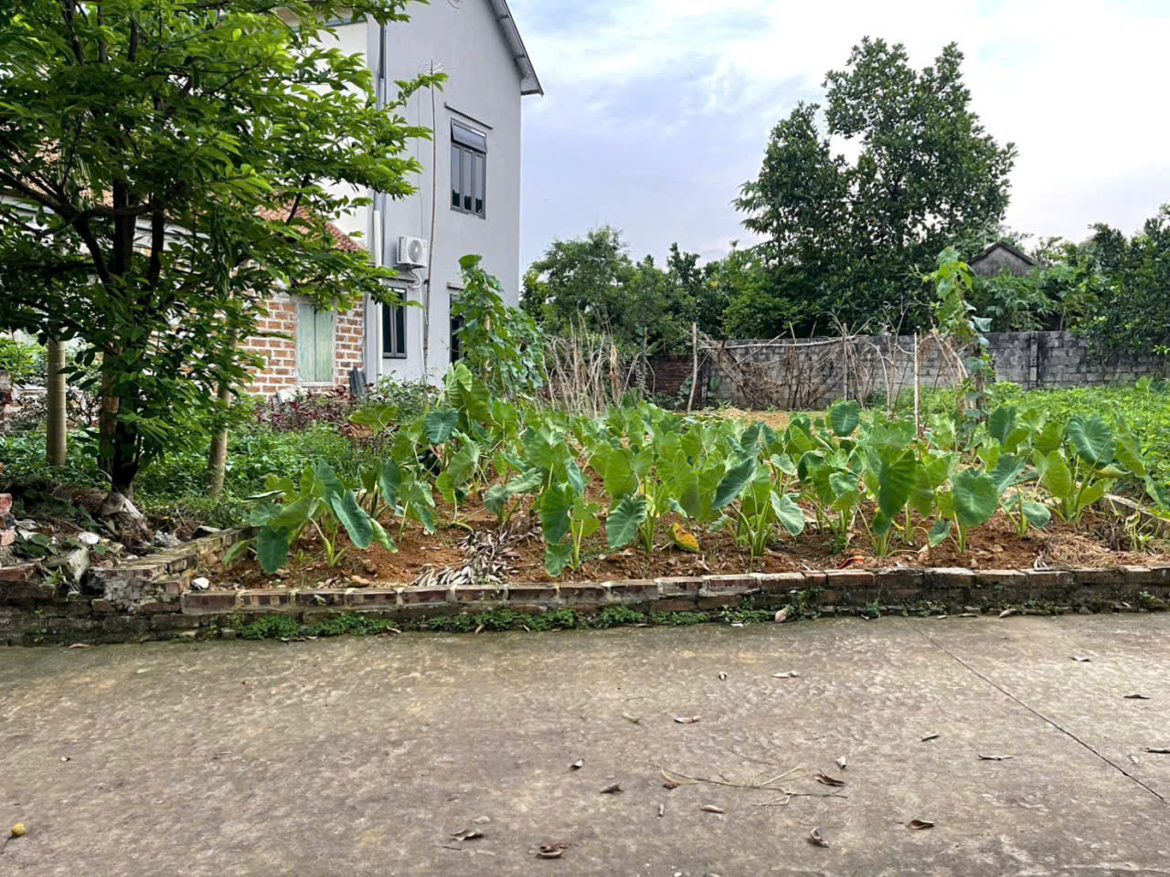 z7132249859200_211d6e0869eba4ccfbea1eb815770e70