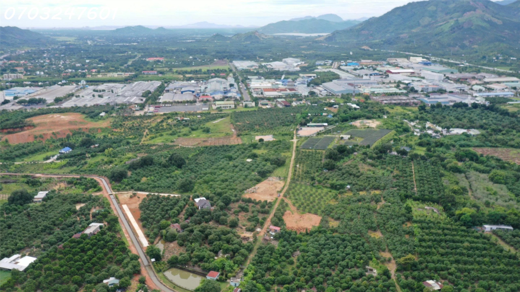 z7133134796996_b873c32595cb8c82ae3d26b3dea5d223