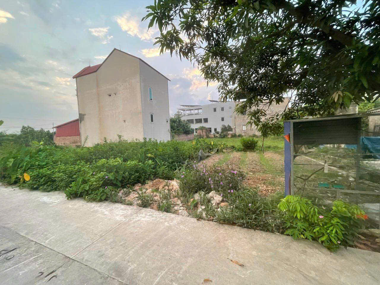 z7133301788734_0b816da4bcd0698fa53a2c9bafa4ff14