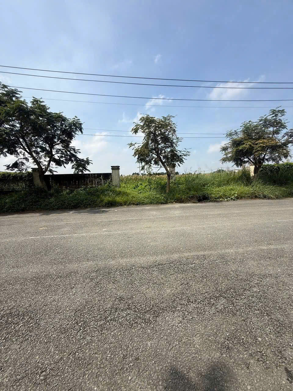 z7135191004436_bf5d95251c63df3315de97ba515a5c6a