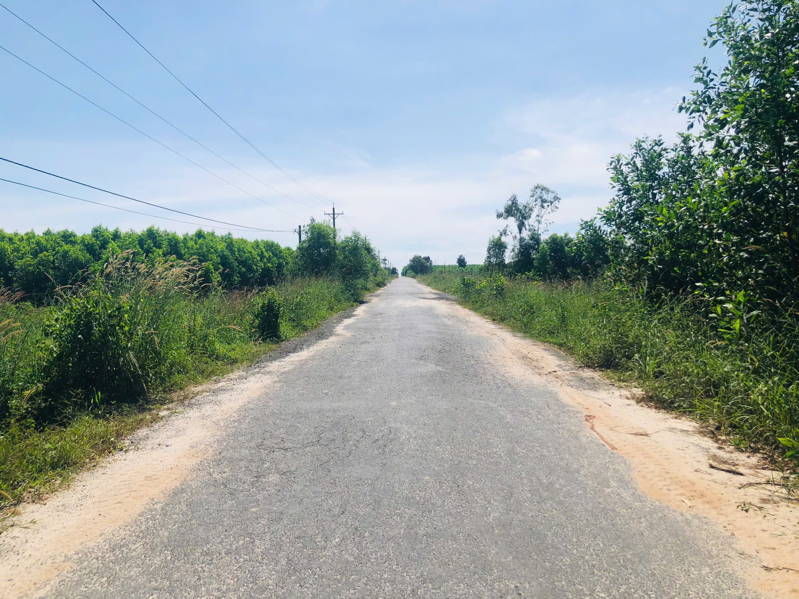 z7135431249370_f39a7b9412e27bf750367528fd35997f