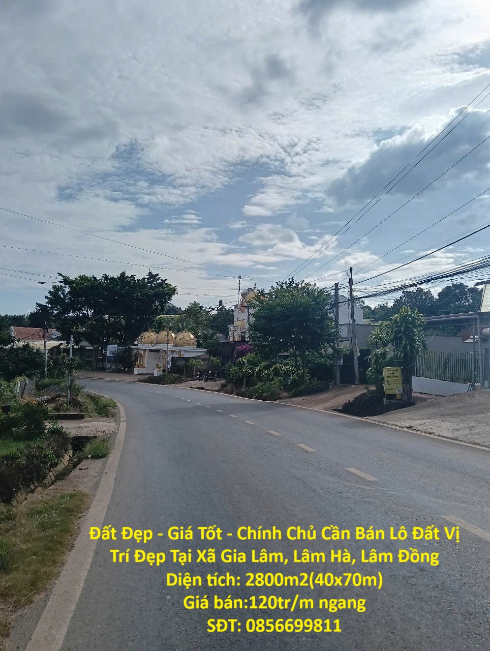 z7137020617320_67e3a5651470d4c9d940008591ee4aee