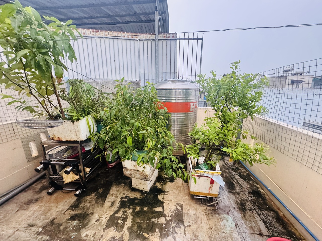 z7137790764832_576f096b0b7621b96ed5c2d5d312f1c5