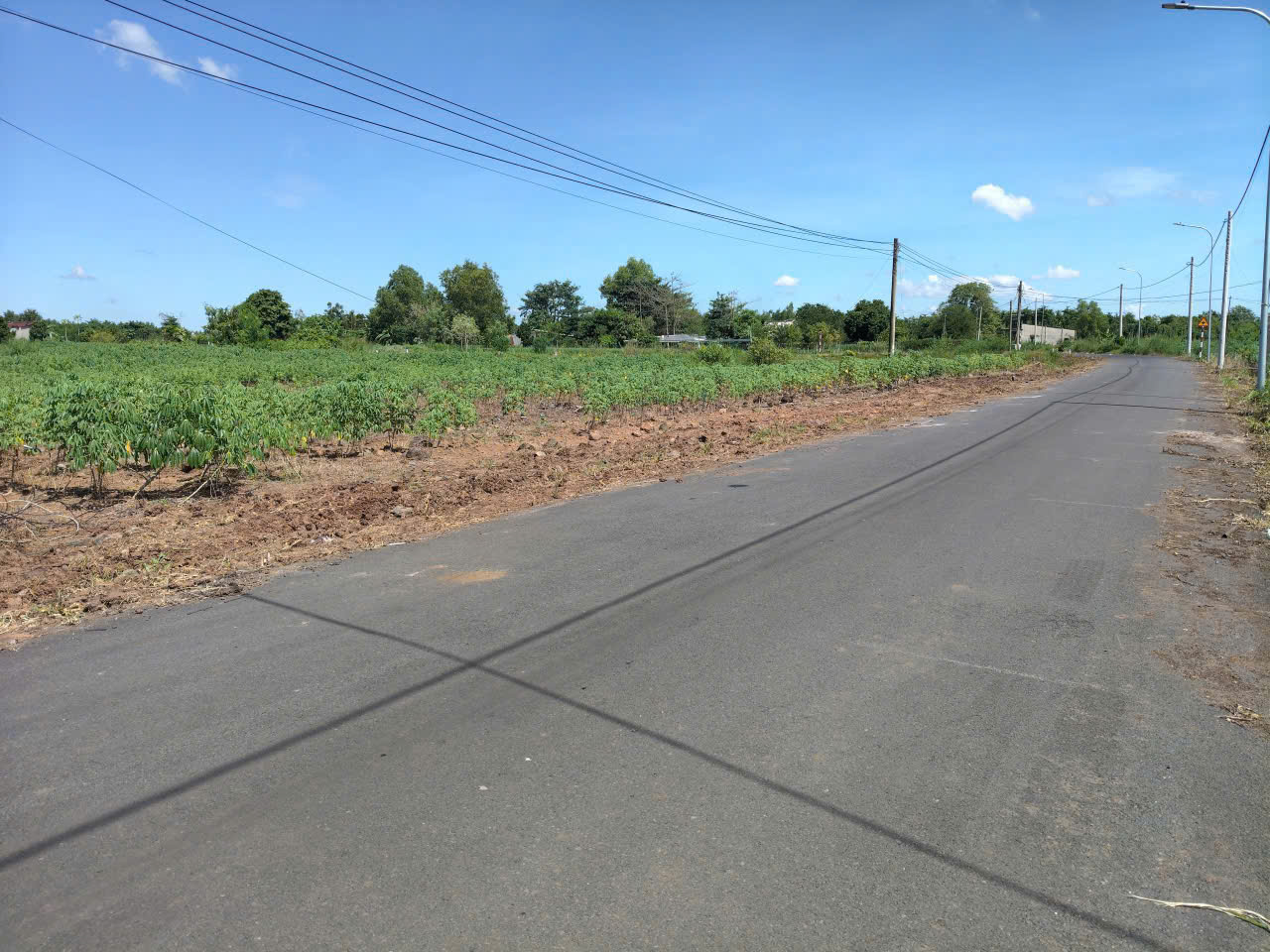 z7139295928224_8cae8576b893d4e5c673ca04ef975249