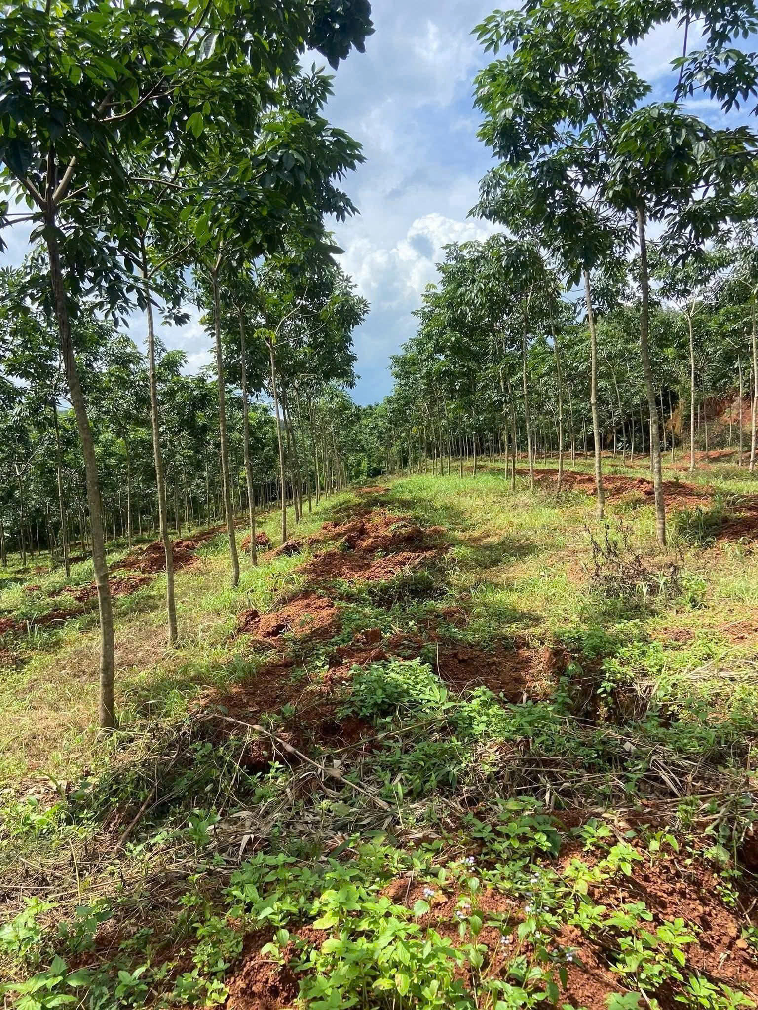 z7140017752743_c9a0adb991823092901054b99a820818