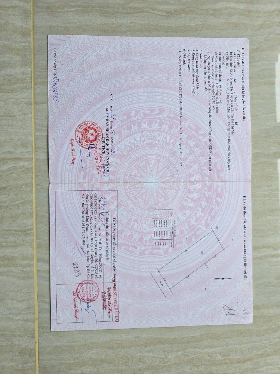 z7147008038861_a4916e67bf00671e976451348cdd9c72