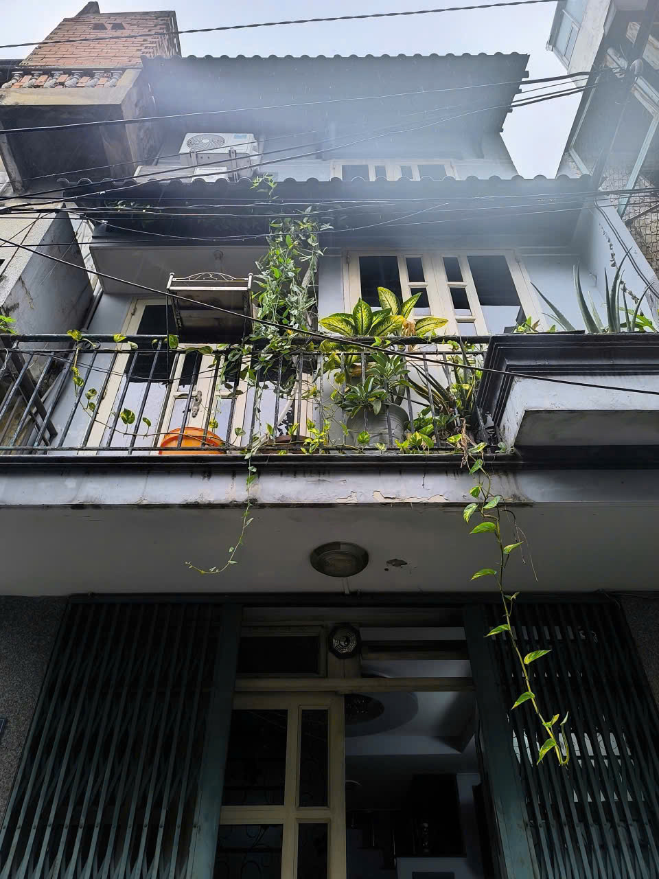 z7151738502946_81451d475fedb48cdec3e2c710f61aa0