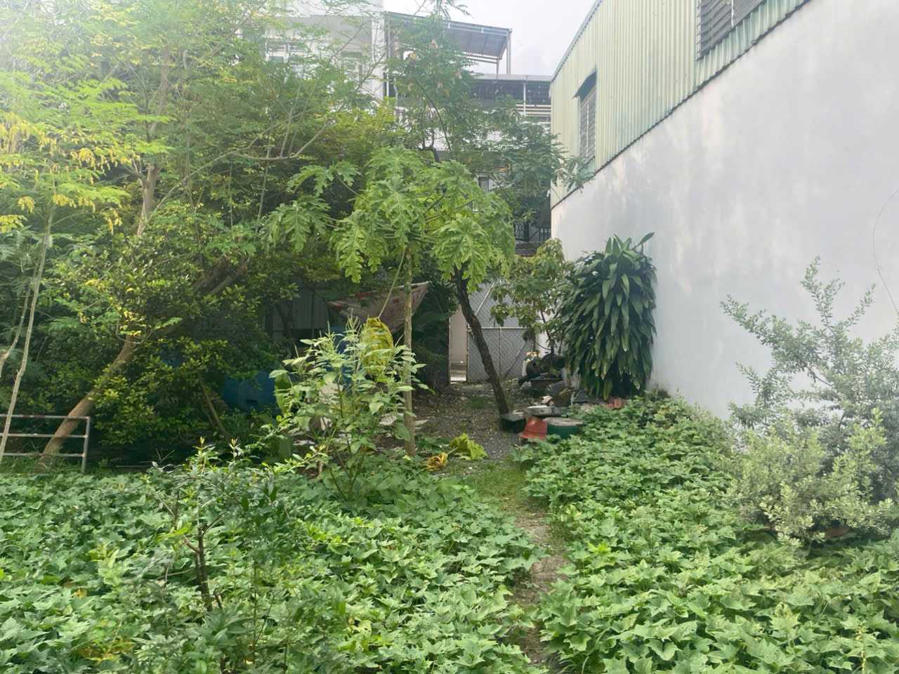 z7154465925942_f4742d1de2a8a85561f7bbb45a9e5422