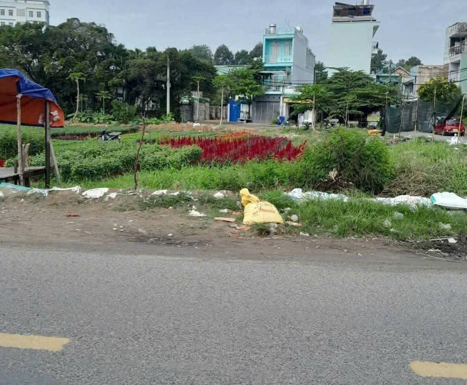 z7155772380111_99090f6e51496431e62e4e9b9f4ede7b