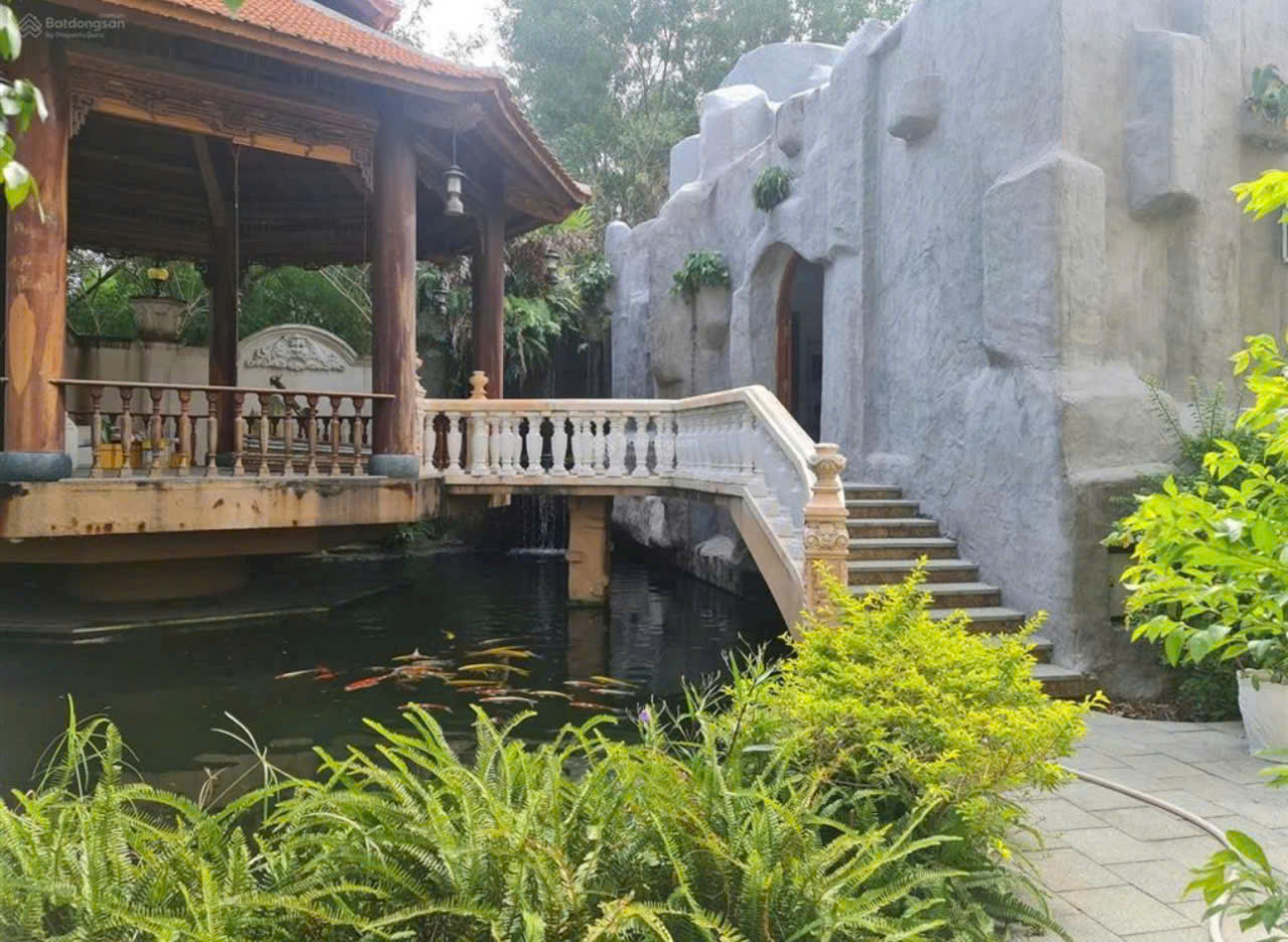 z7159940991842_4a5945da448dd92d51a2df4fc63959fe