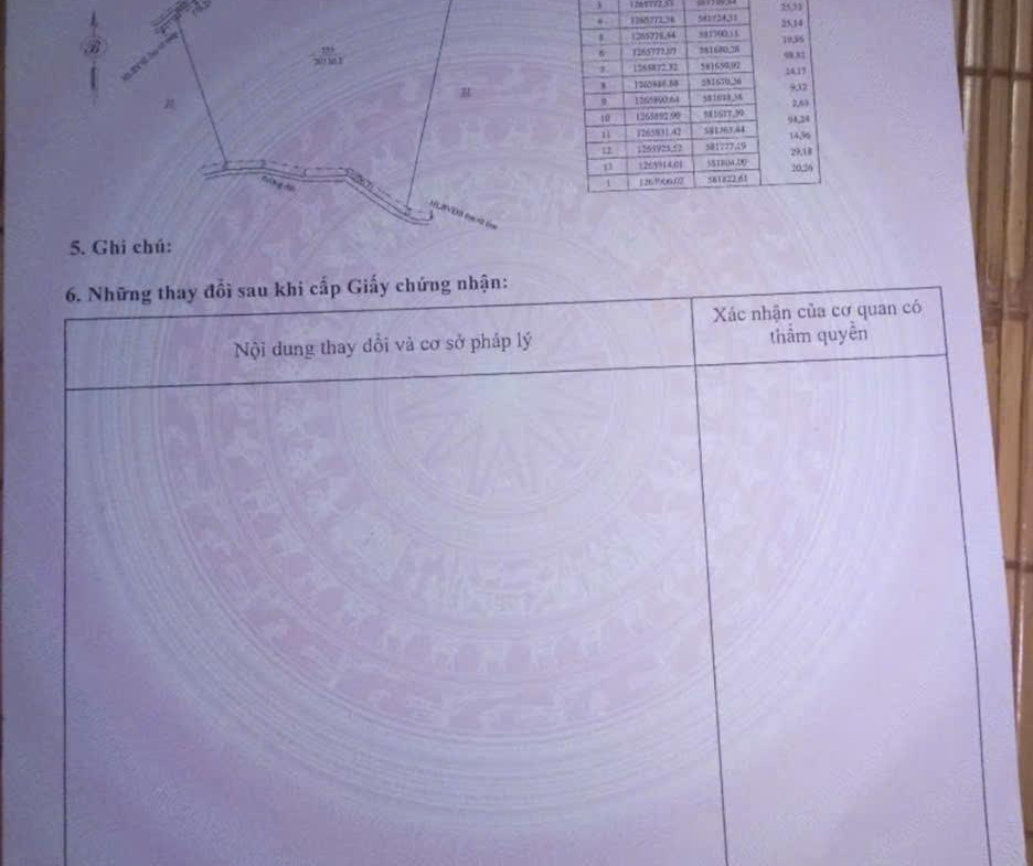 z7161313916008_2f5f83fc0154bed355734aa0f5983e7b