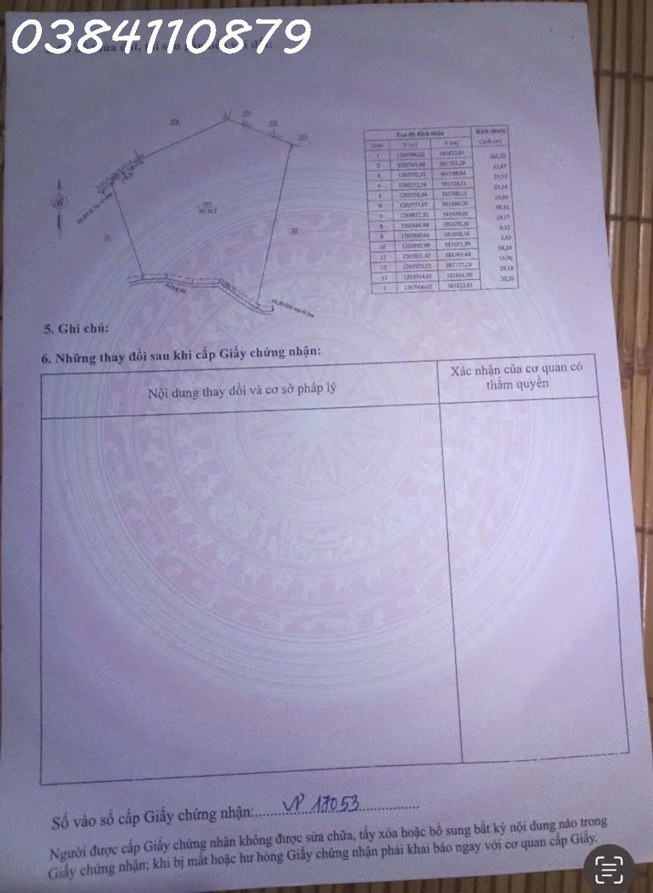 z7161313916008_2f5f83fc0154bed355734aa0f5983e7b