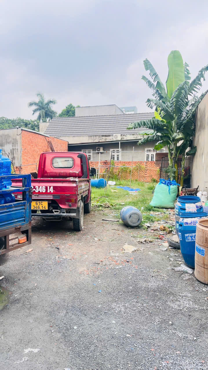 z7162679537138_d3fe3b05eddb08c6621a862143c0fac4