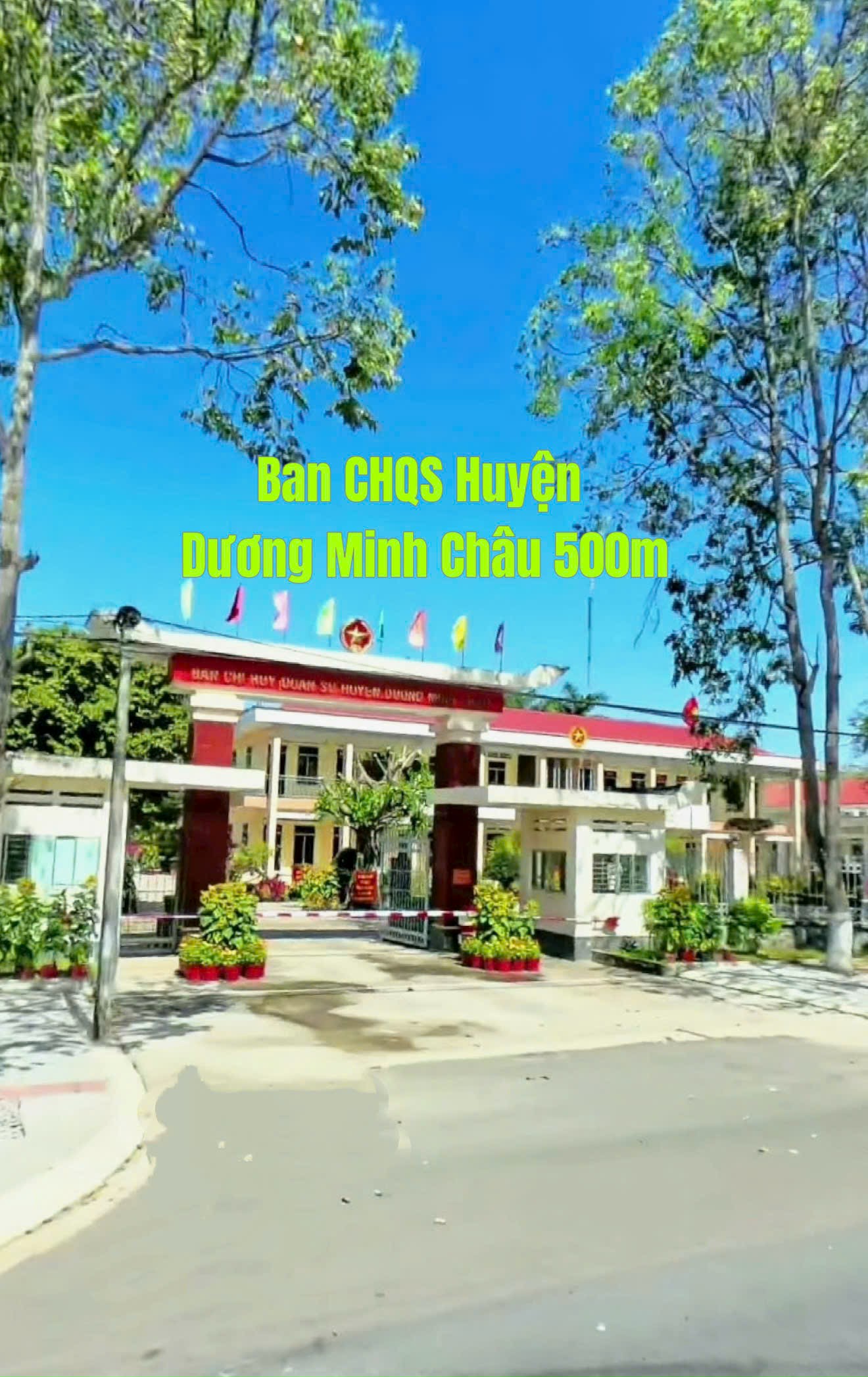 z7162833812420_656b9a5aaa06b59ca0e60c1aa20c73d0