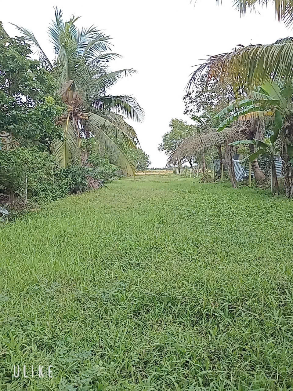 z7163065865785_1c63b0308693a81fedc1dc06094b7a9b