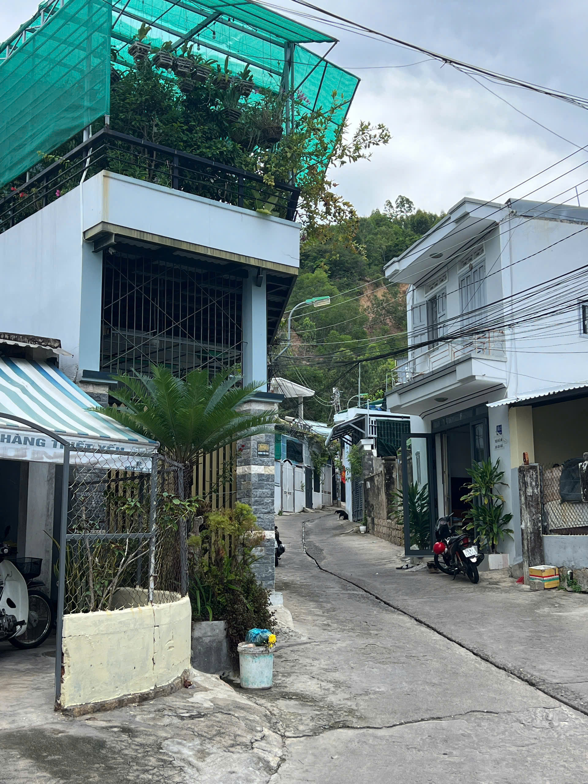 z7163546063666_4949a200ef15cdaa926fbcd0fb400a36