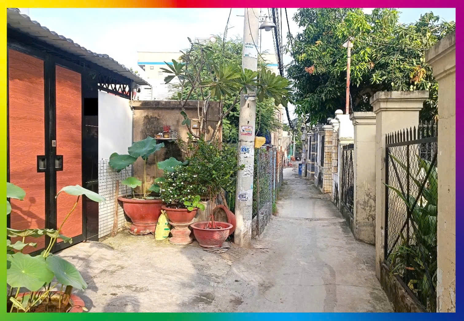 z7164233837153_912740df08e3641eb2d2c0f5babe4fd8