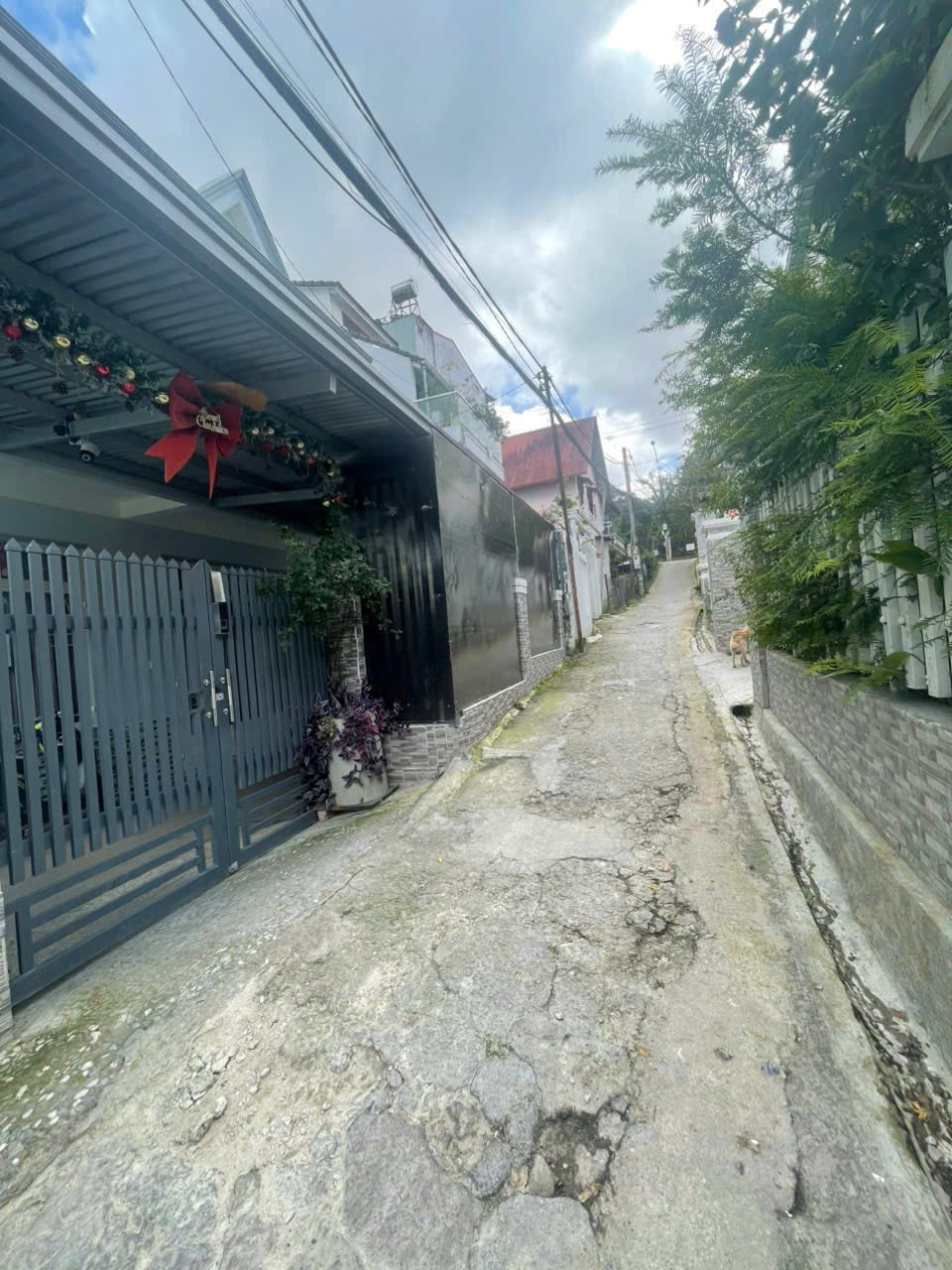 z7164240599593_b19743b67a3a12a4de45f8979c88cf15