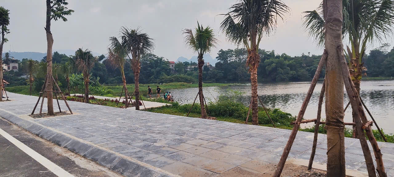 z7164277870562_d70302411660ccd75ba268a09e385954